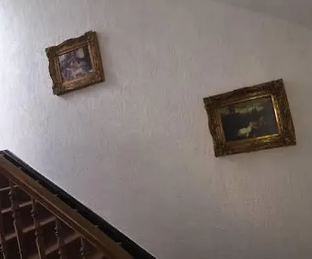 A&s Roonstrasse דירה בון