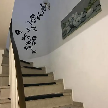 A&s Roonstrasse Bonn