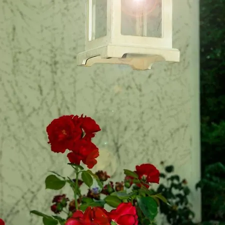 A&s Roonstrasse בון