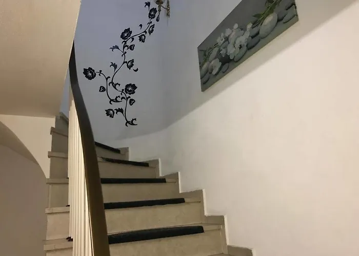 A&s Roonstrasse Бонн