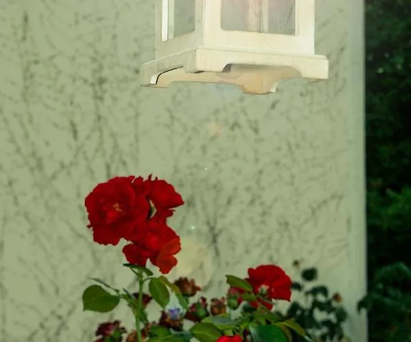 A&s Roonstrasse Бонн